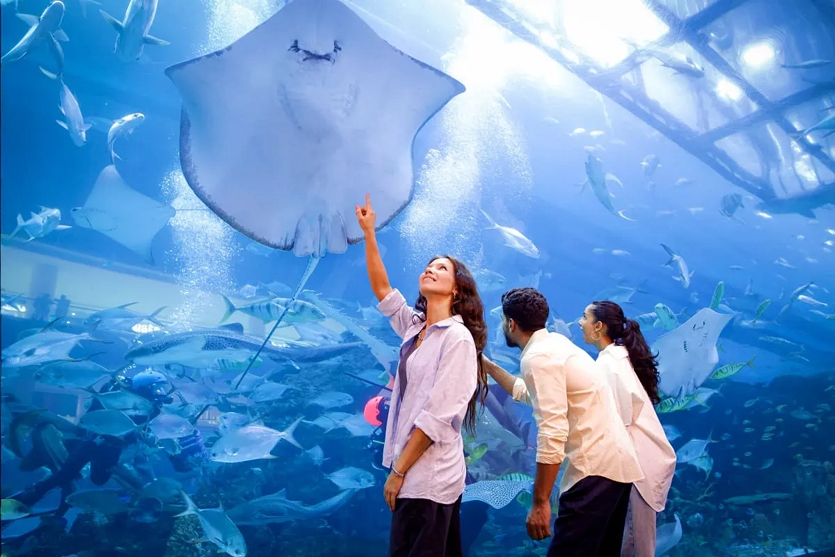 Dubai Aquarium and Underwater Zoo 1