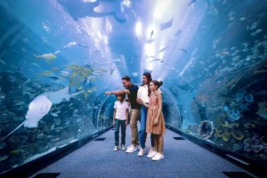 Dubai Aquarium and Underwater Zoo 3
