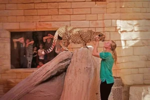 Emirates Park Zoo 2